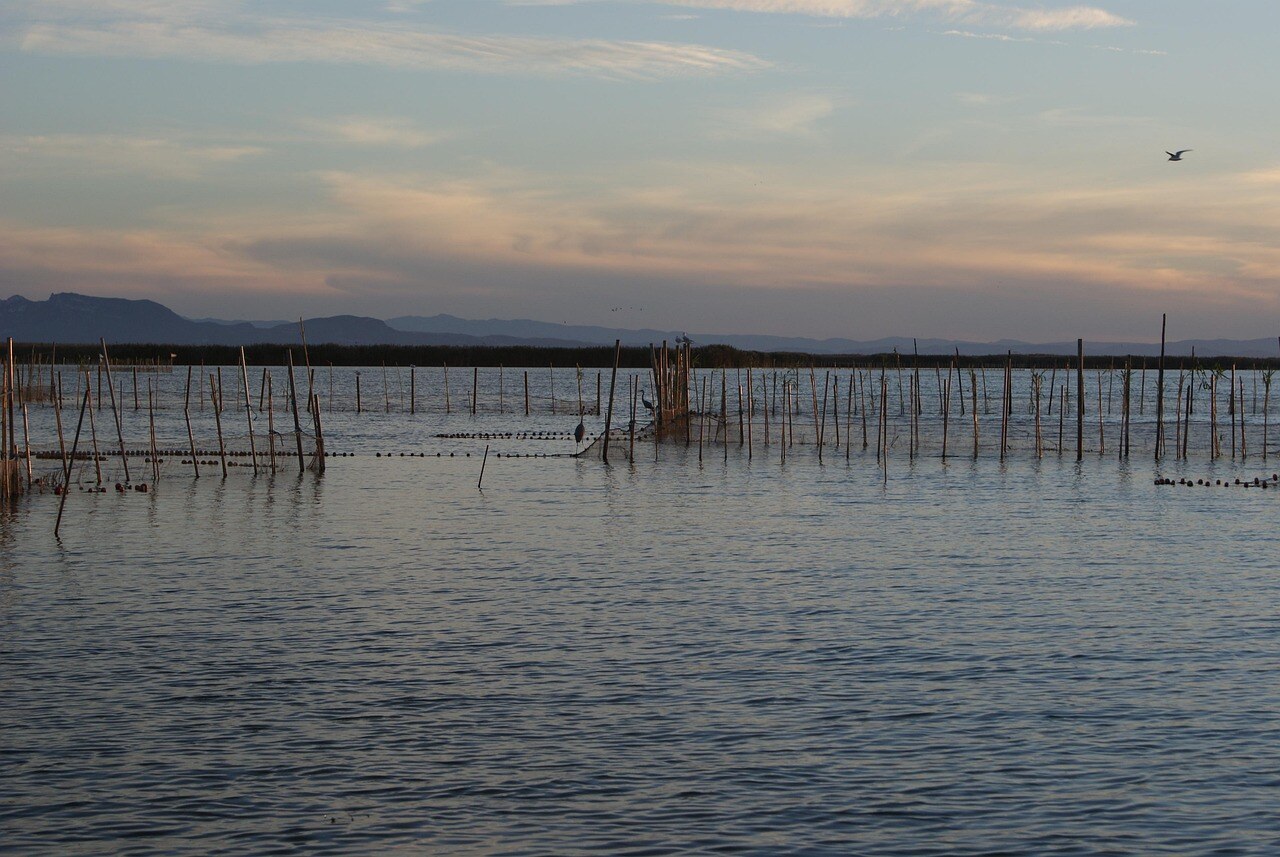 Albufera Valenciana Binter