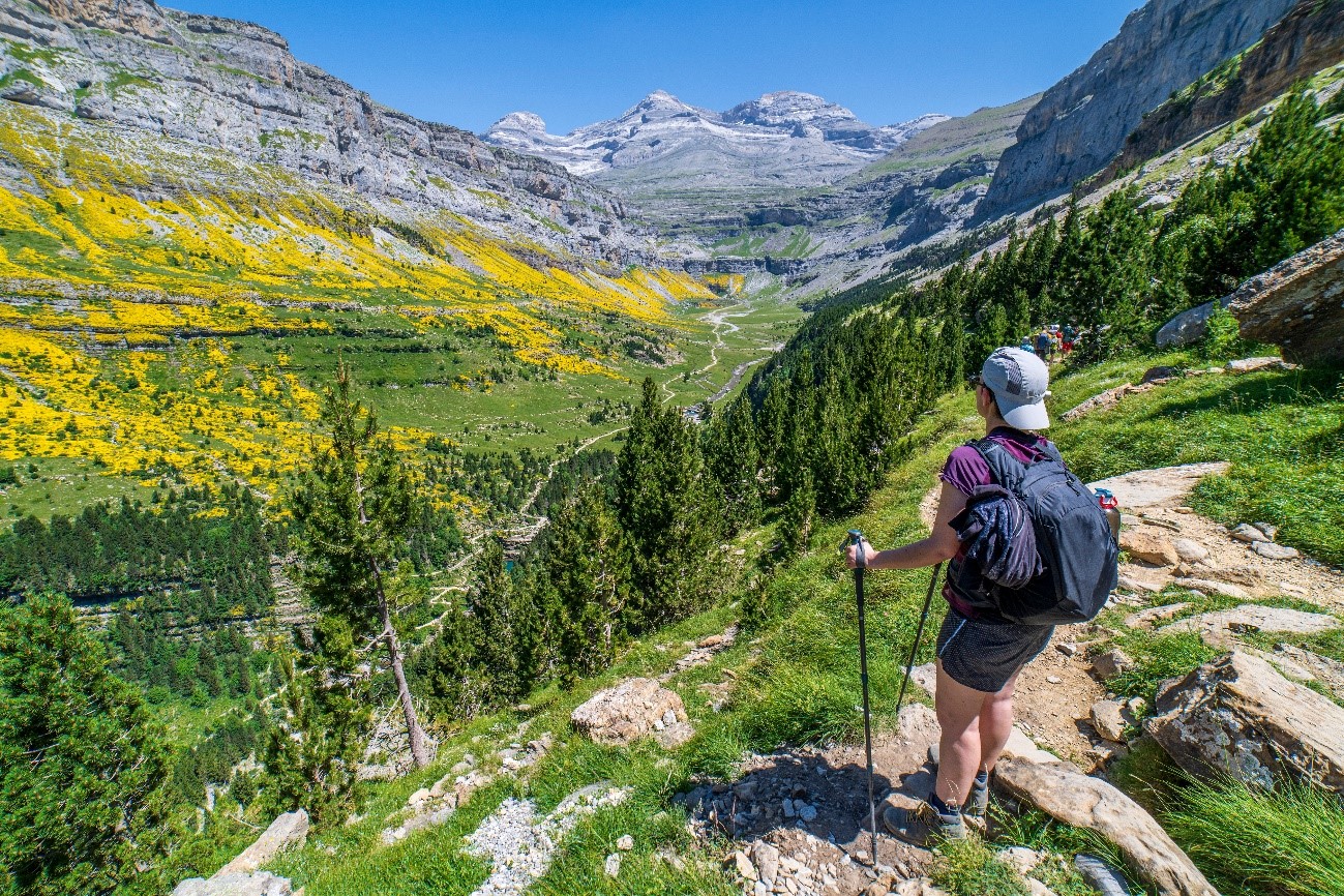 Un senderista contempla el horizonte, repleto de pinos y campos floridos, en el pirineo aragonés.