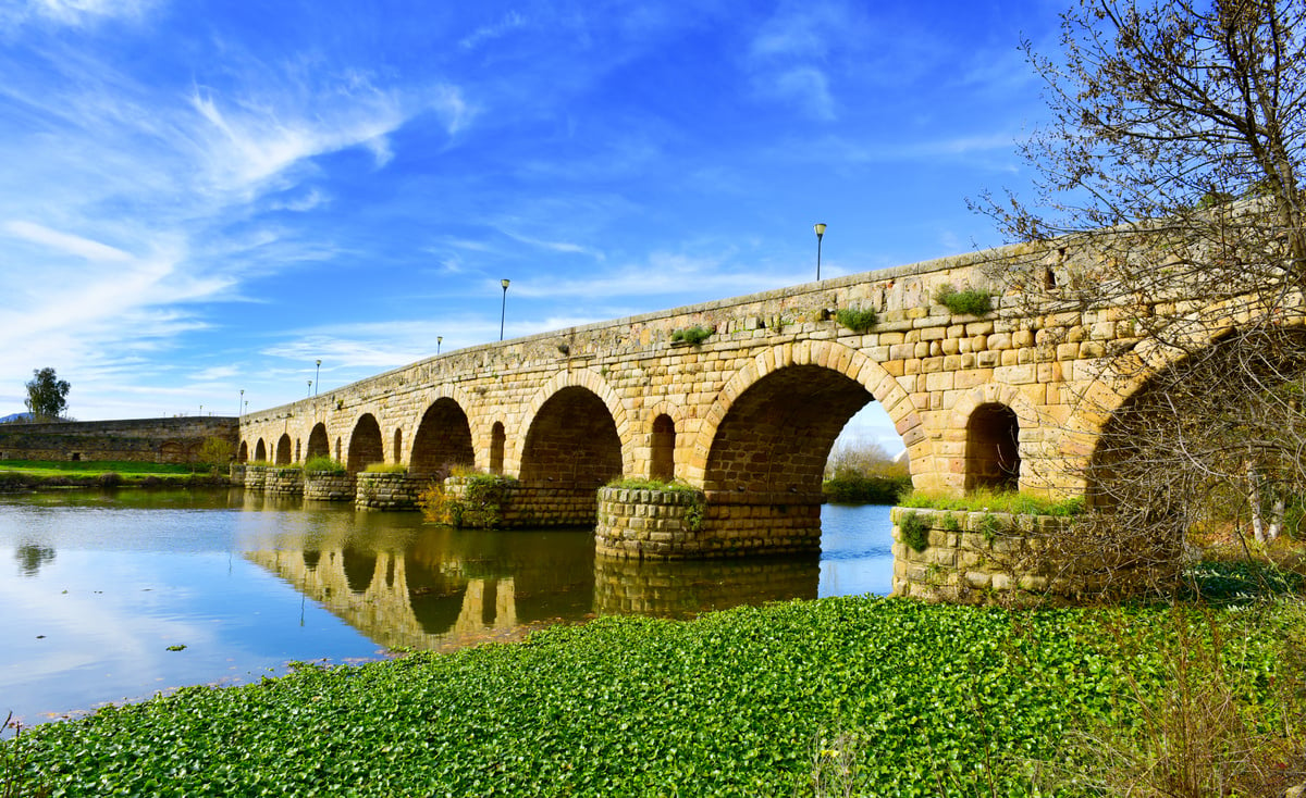 Qué ver en Badajoz: puente de palmas