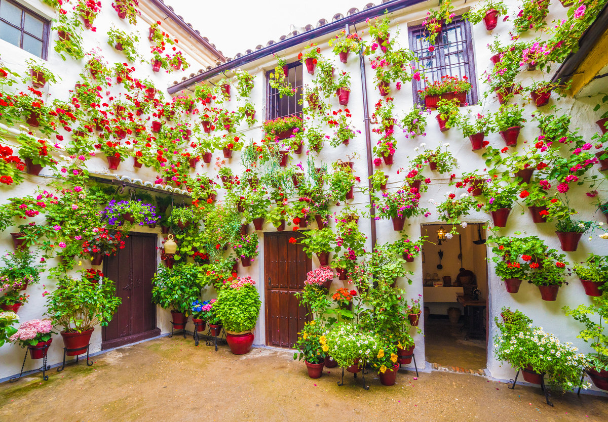 patios de cordoba