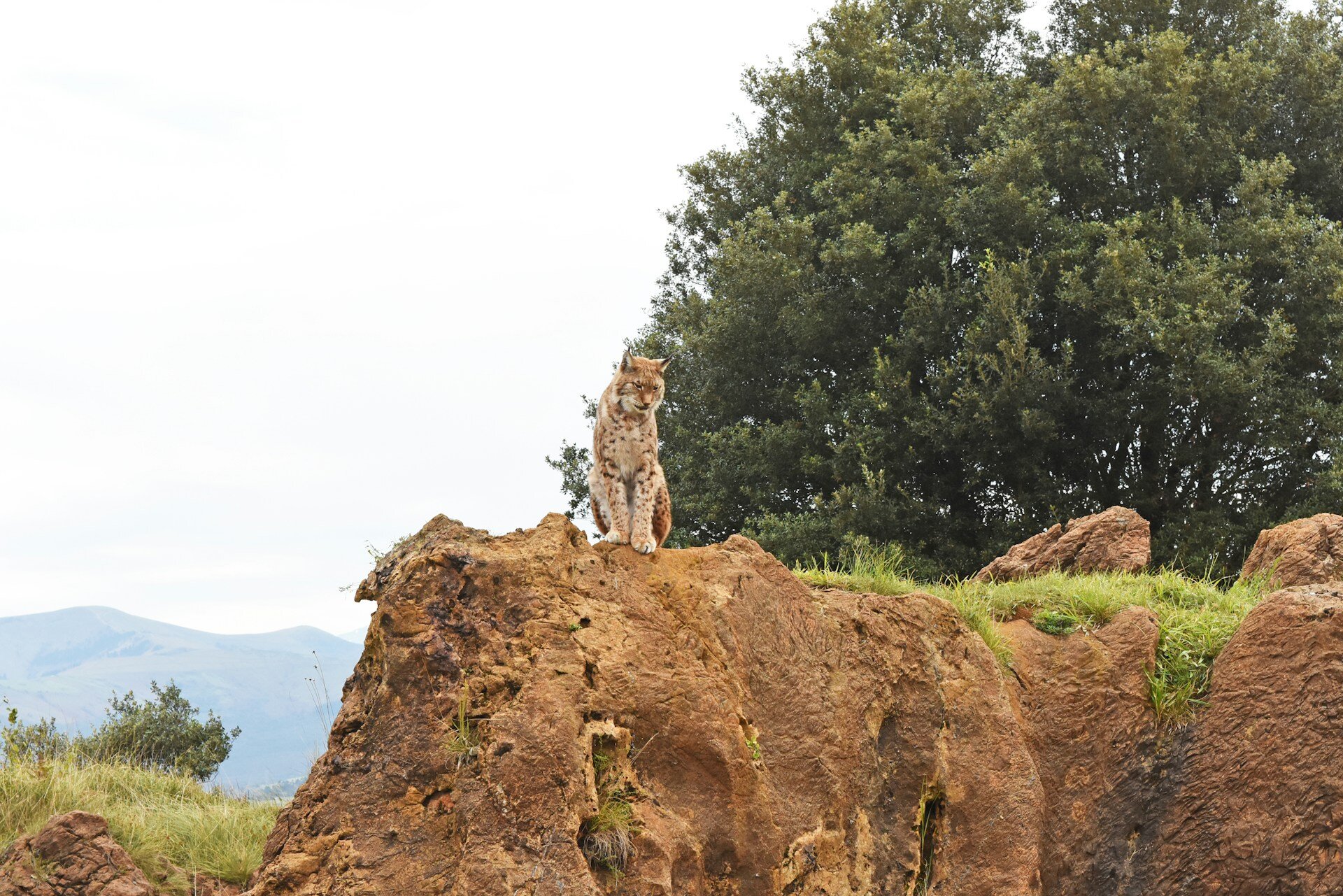Cabárceno
