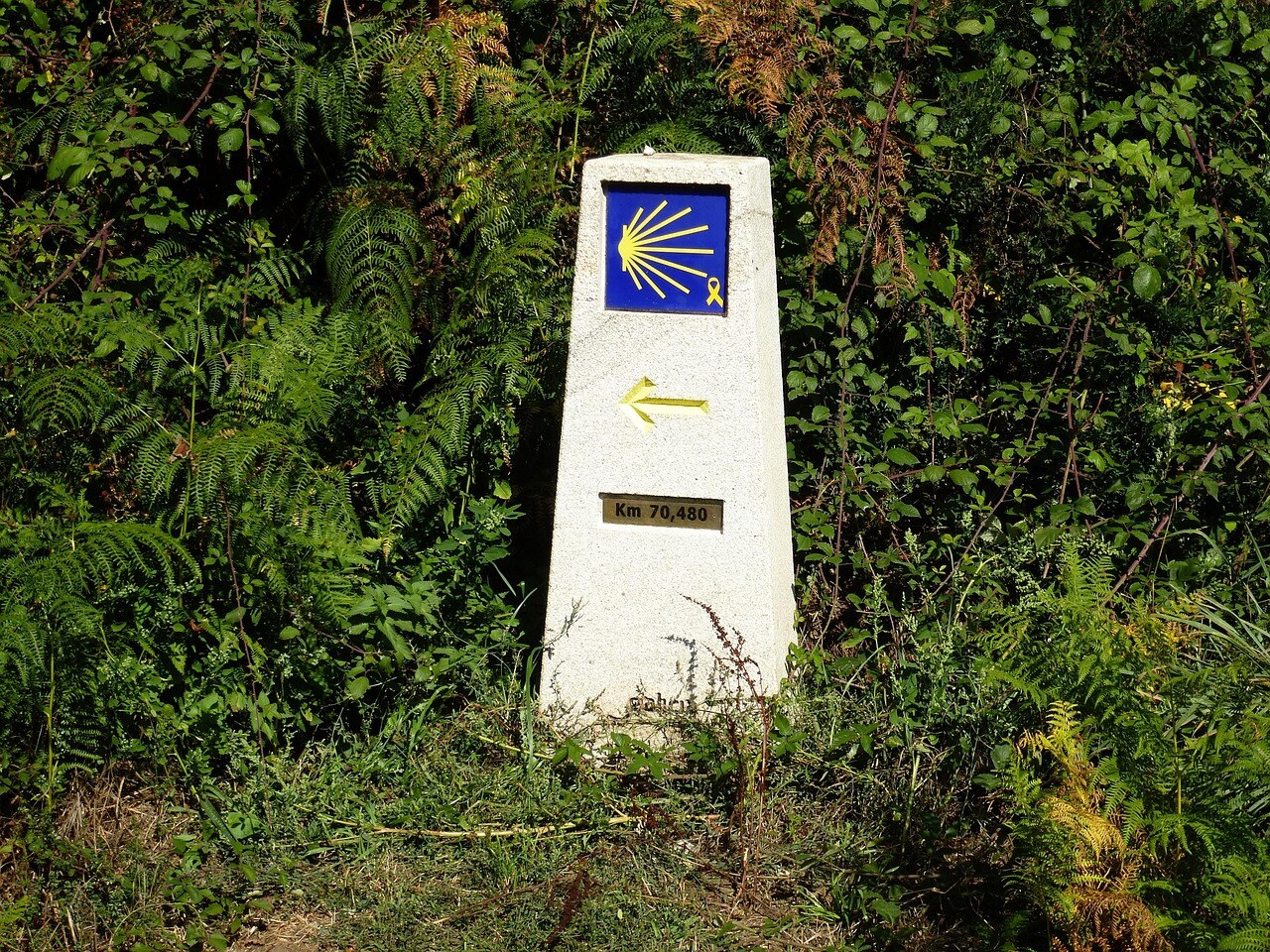 Camino Santiago Binter