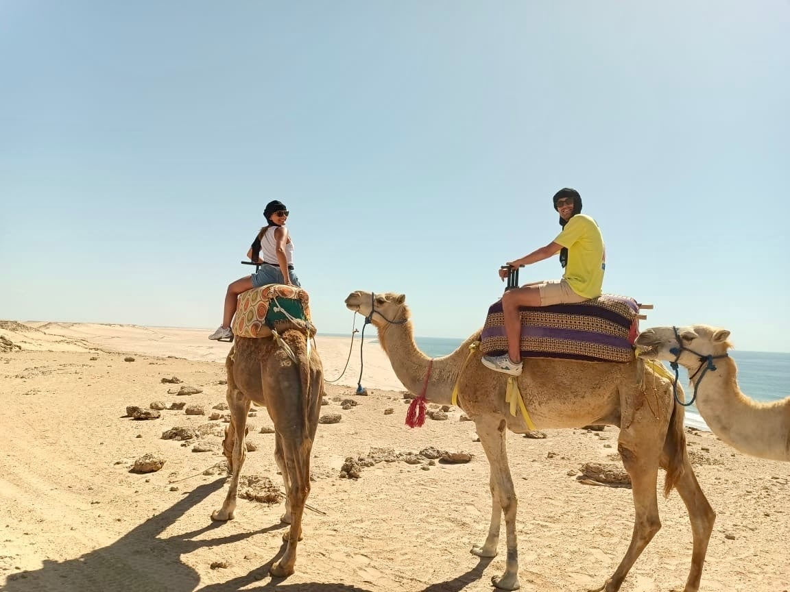 Dakhla paseo en camello