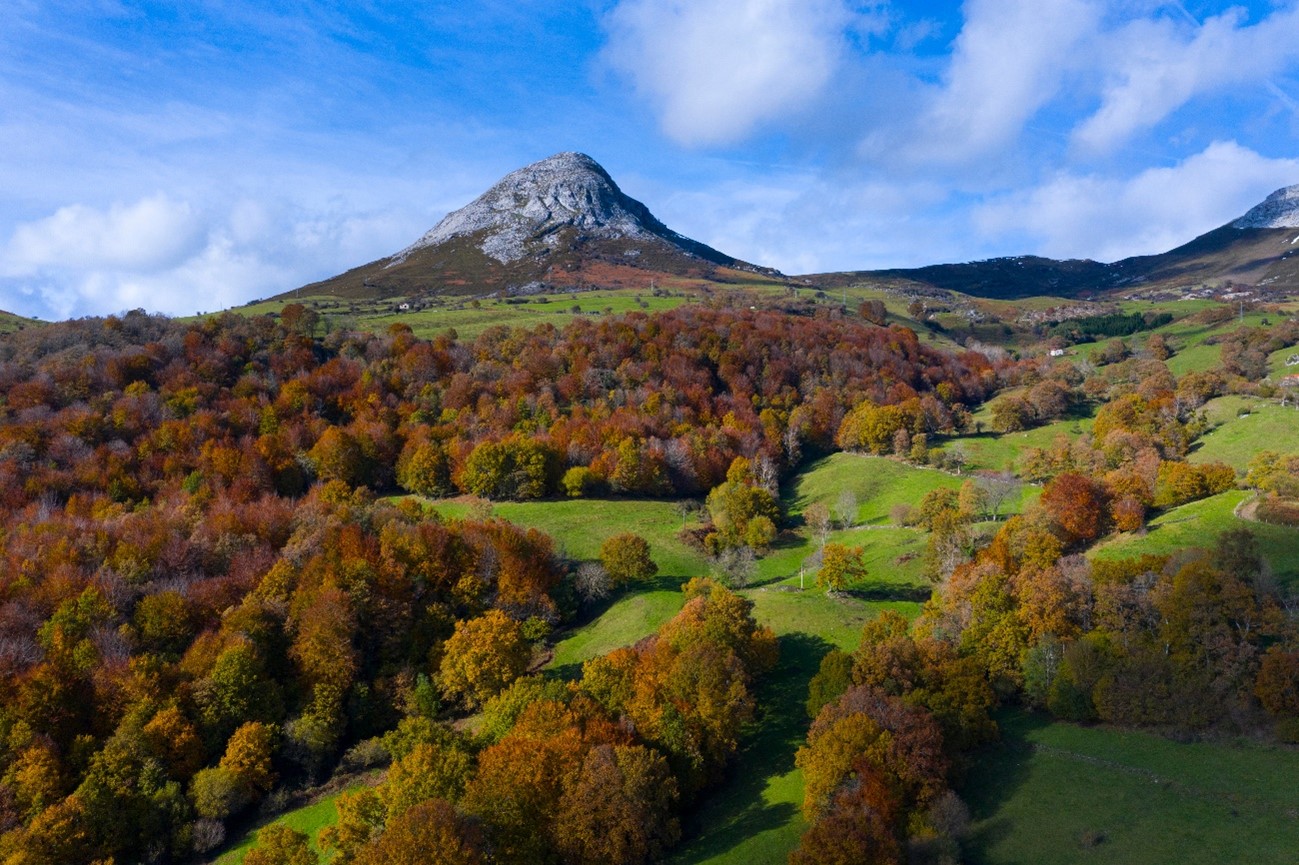 Los bosques otoñales más bonitos de Cantabria