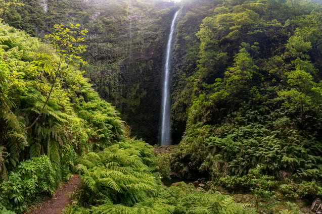 MADEIRA-iStock-1357522131