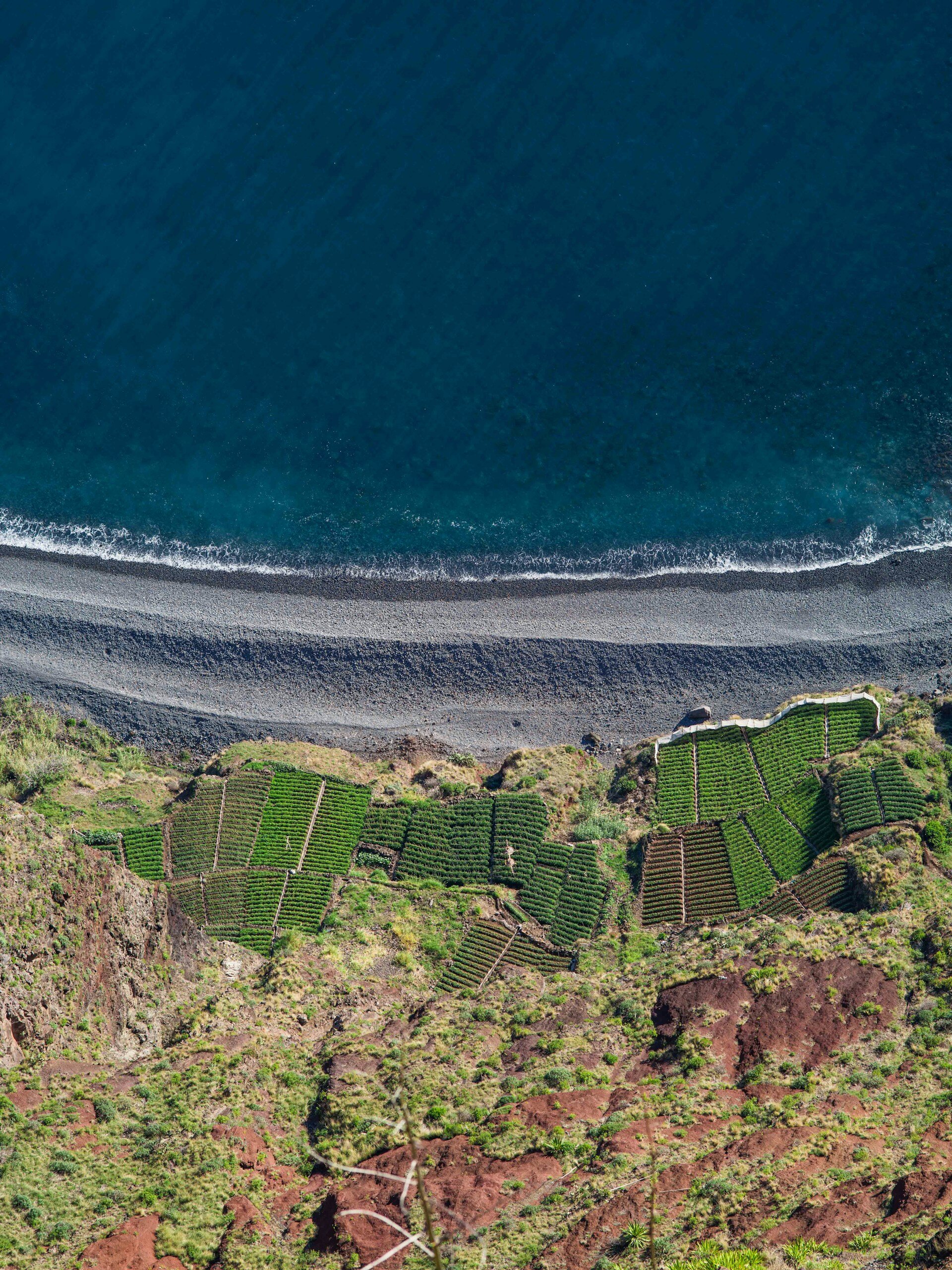 acantilados madeira