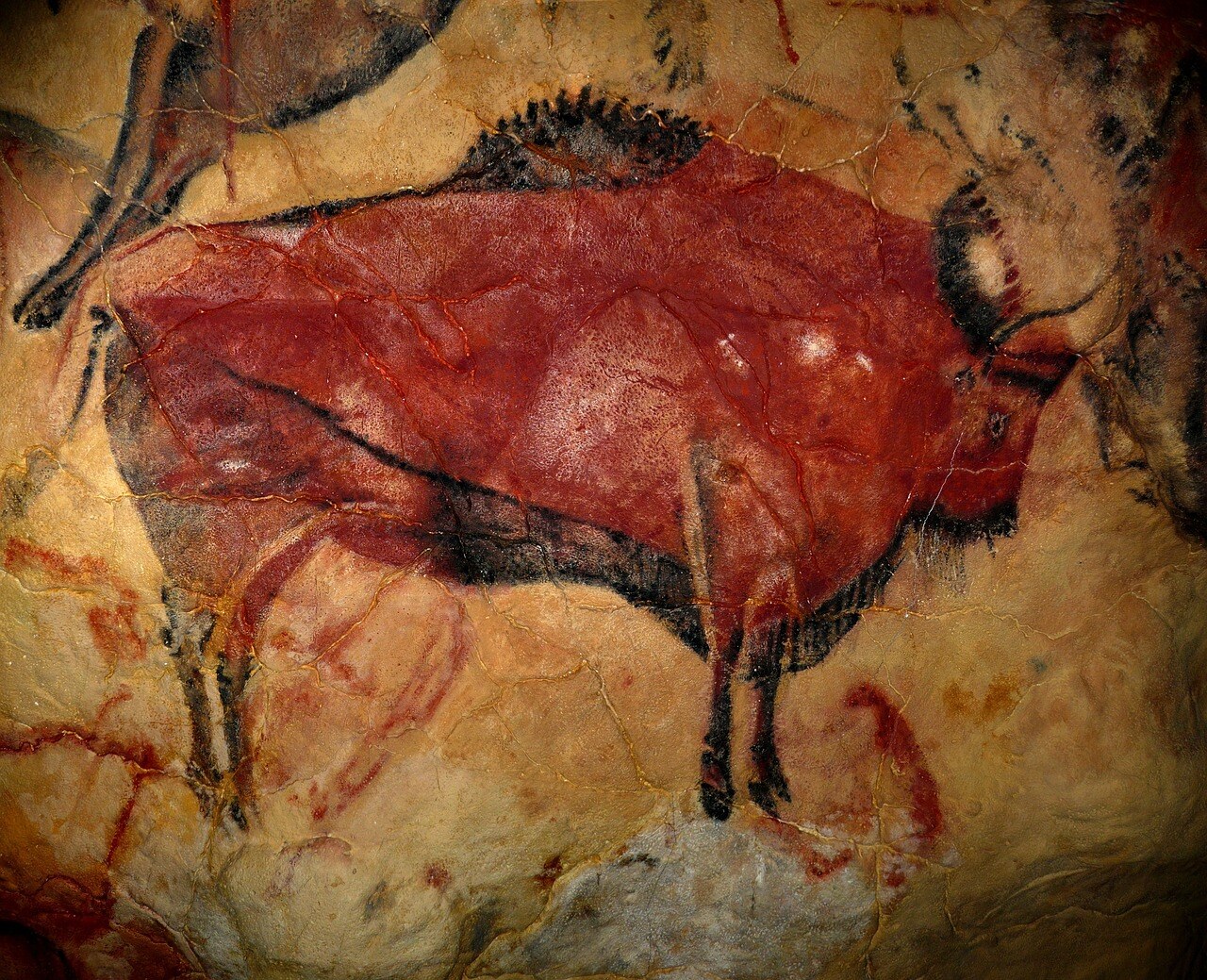 altamira bison