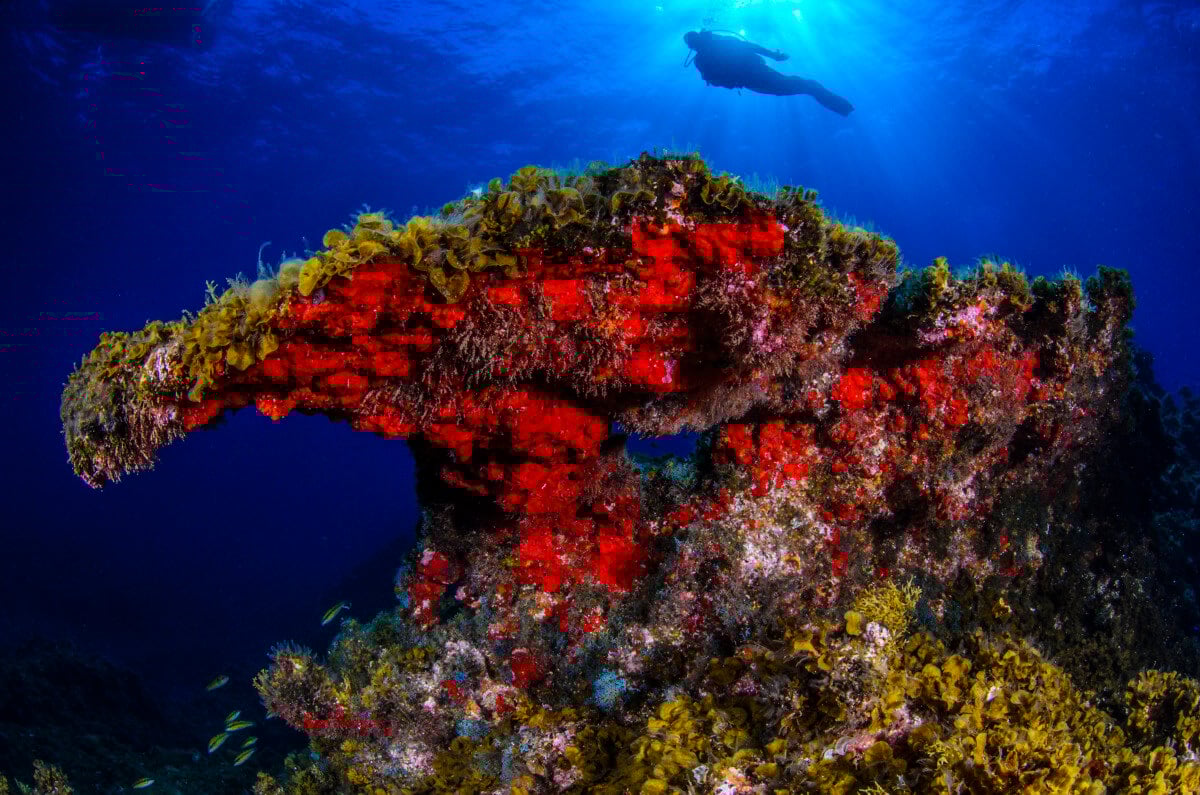 buceo el hierro