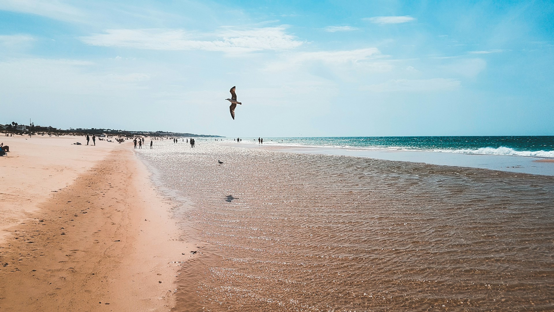 chiclana de la frontera