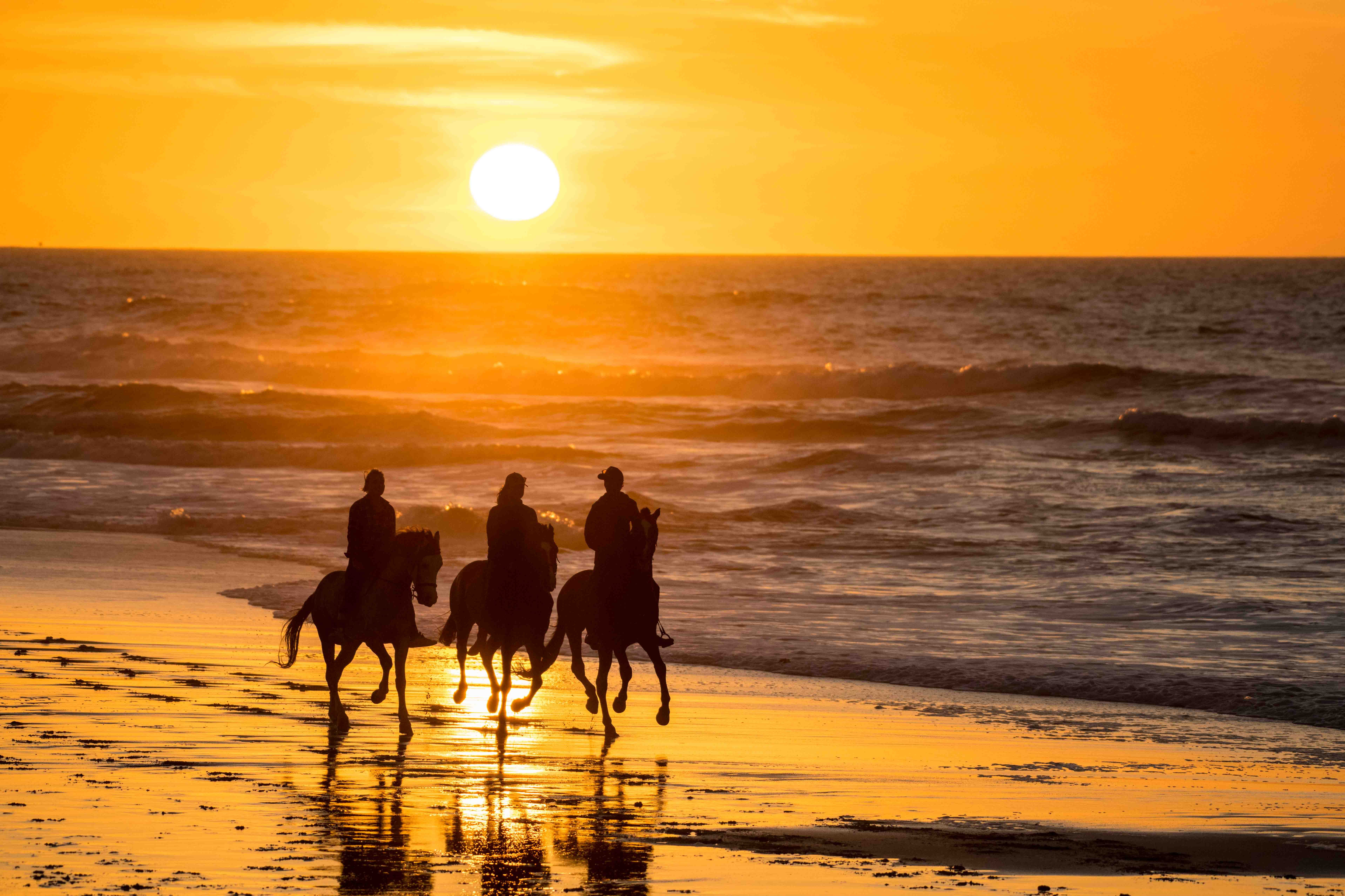 dakhla caballo
