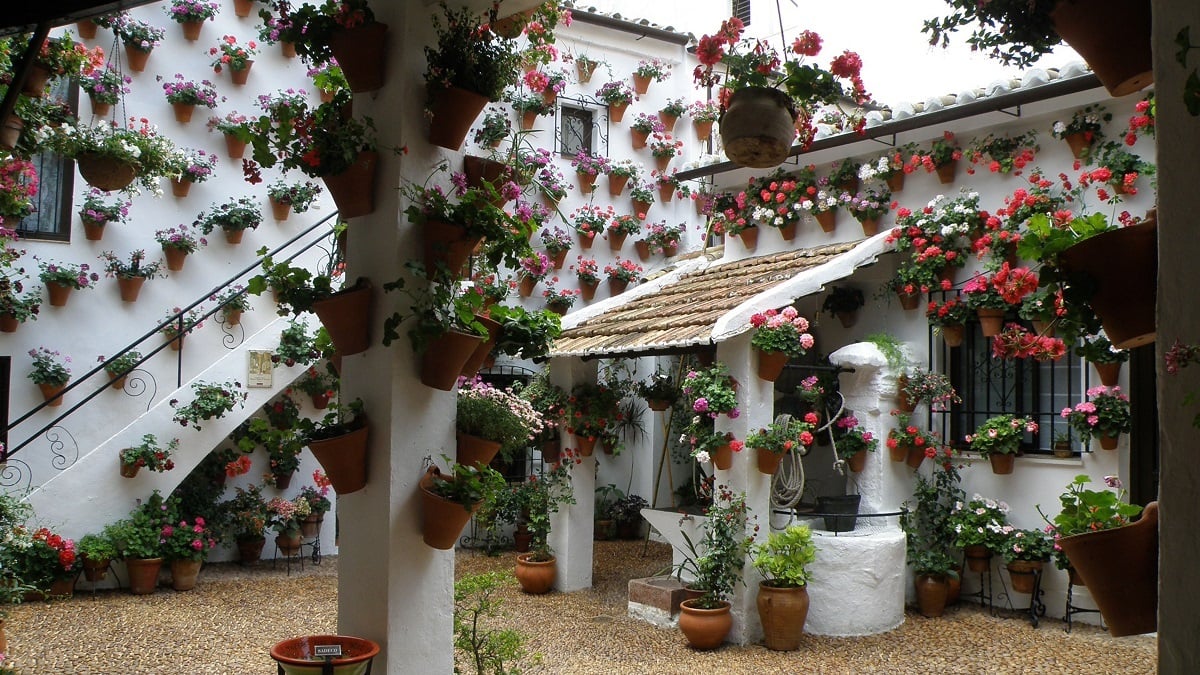 fiesta de los patios en cordoba