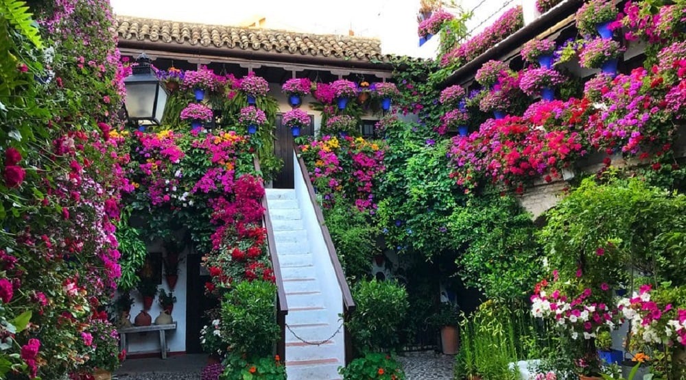 fiesta patios de cordoba