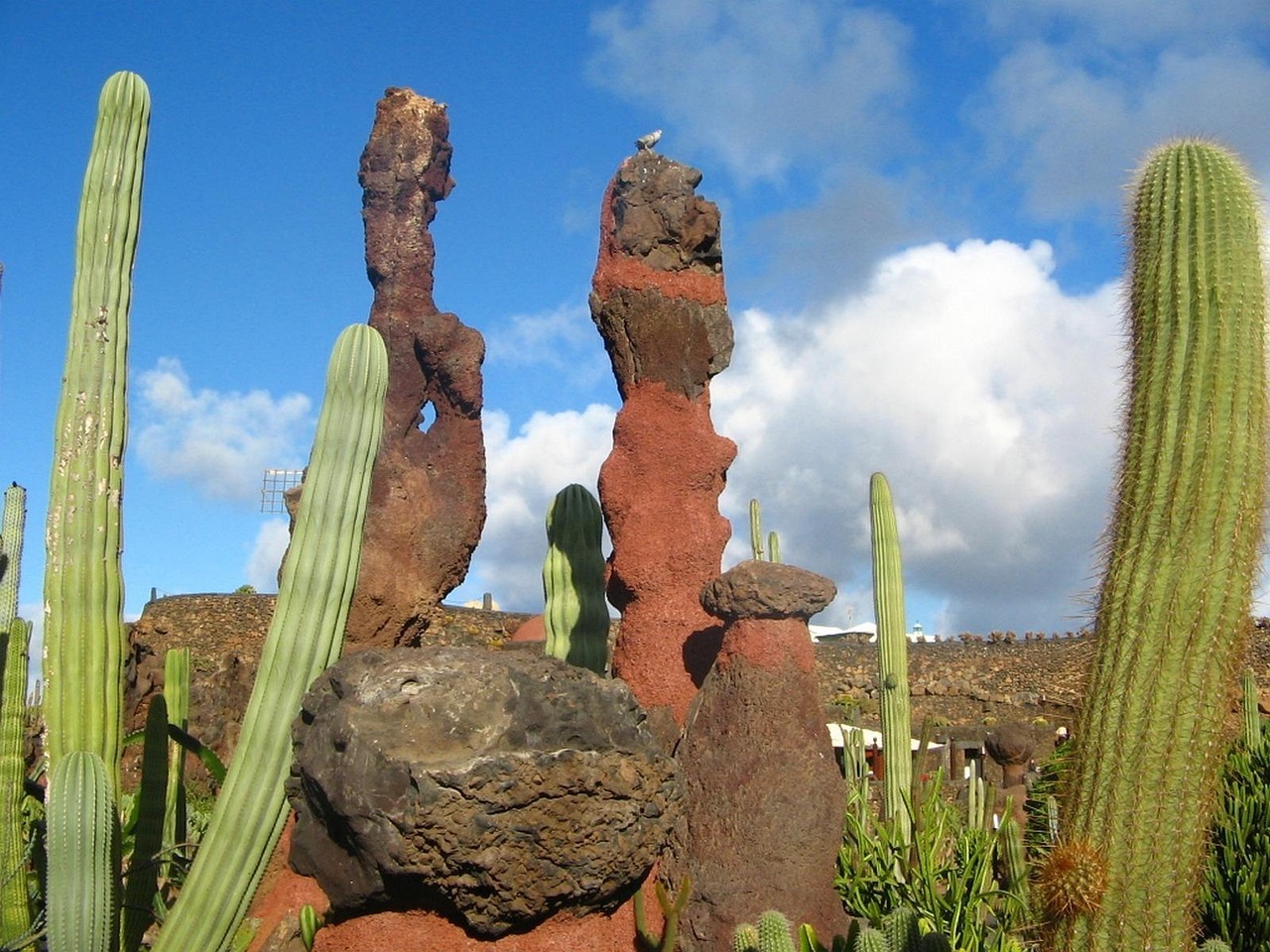 jardin de cactus lanzarote cesar manrique