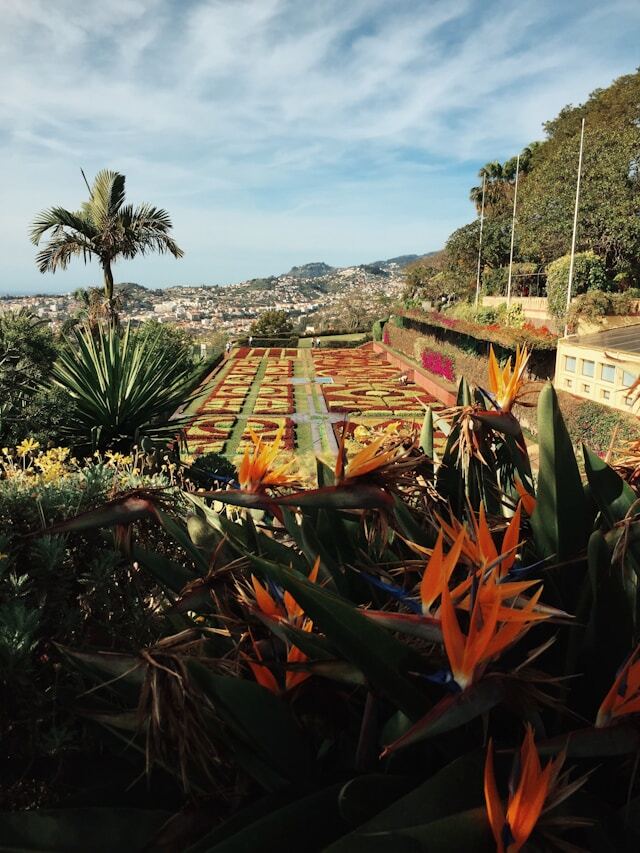 jardin funchal
