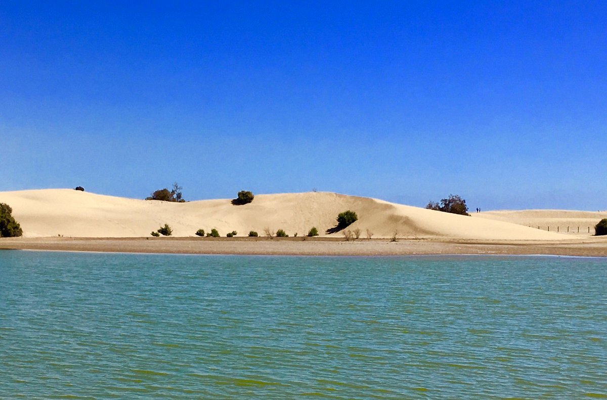 la charca de maspalomas