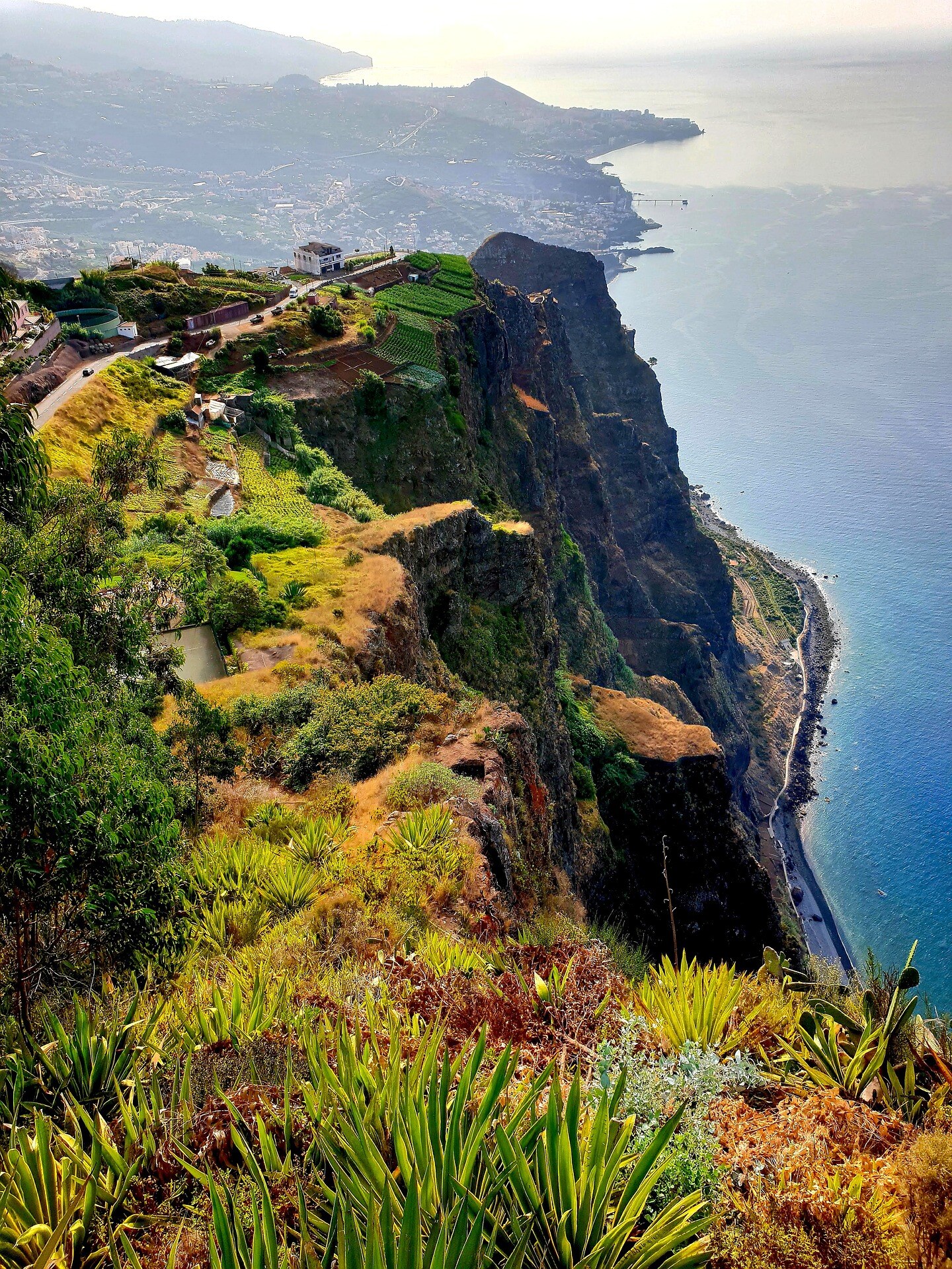 madeira macaronesia