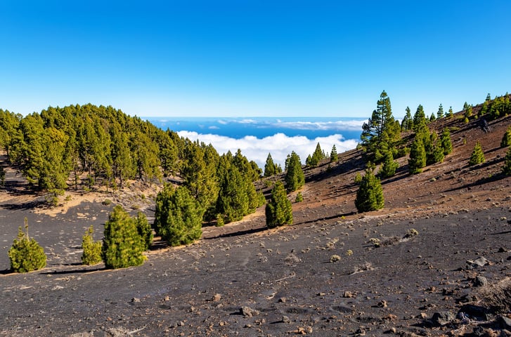 senderismo en La Palma