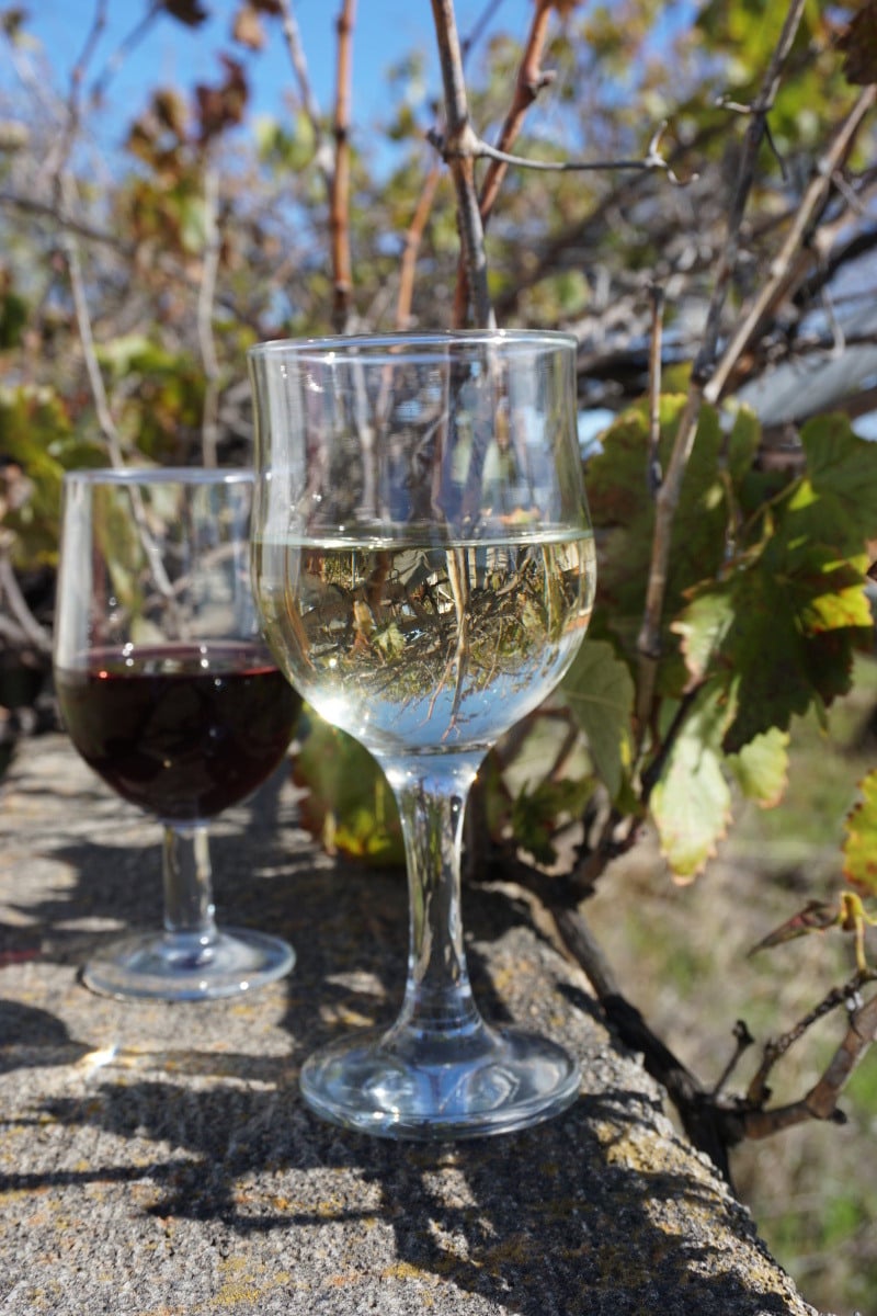 vino el hierro