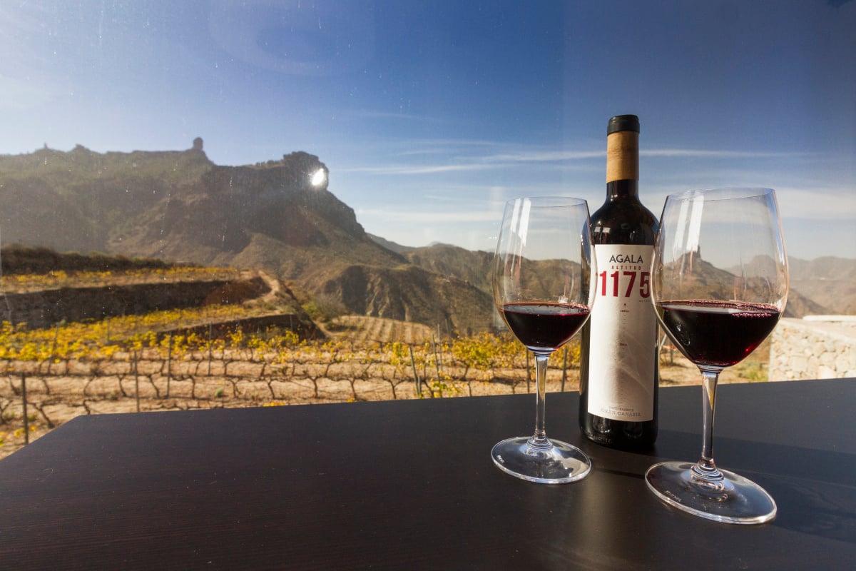 vino gran canaria
